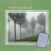 Coonoor tea garden, rain