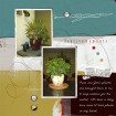 Plants in the House!